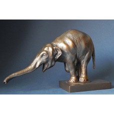Bugatti - Bedelende Aziatische Olifant